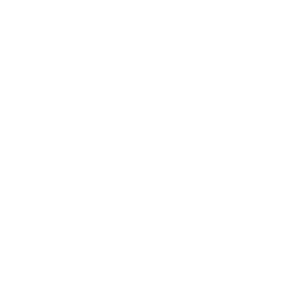 NEST ONE